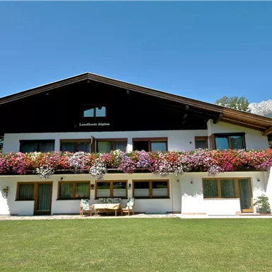 A beautiful wooden house with a balcony full of colorful flowers. The garden is green and inviting, surrounded by trees and mountains.