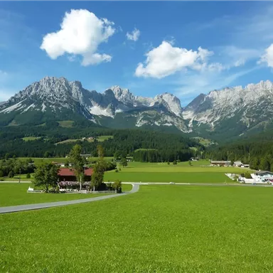 A picturesque landscape with high mountains and lush, green grass. A winding path leads through the peaceful surroundings.