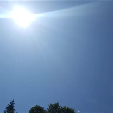 Ein strahlend blauer Himmel mit einer hellen Sonne. Am unteren Bildrand sind einige grüne Bäume sichtbar.