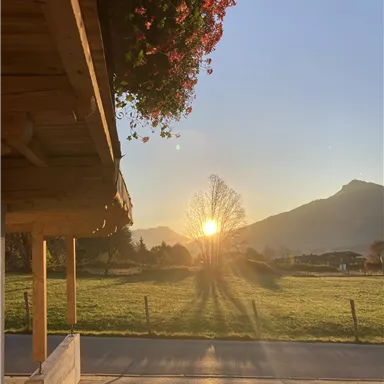 Ein sonniger Sonnenaufgang hinter Bergen, mit langen Schatten im Vordergrund. Blühende Pflanzen hängen von einem Holzüberstand.