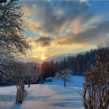 Eine wunderschöne Winterlandschaft mit schneebedeckten Bäumen und Bergen im Hintergrund. Der Sonnenuntergang taucht den Himmel in warme Farben.