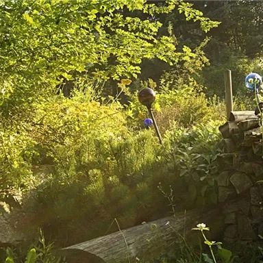 A green garden with various plants and sunlight shining through the trees. In the background, colorful garden ornaments and stacks of wood can be seen.
