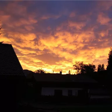 A breathtaking sunset with orange and purple clouds. In the foreground, silhouettes of trees and the roof of a house are visible.