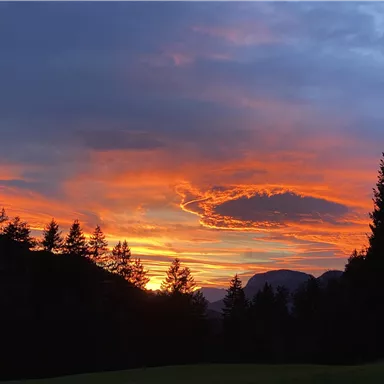 Ein wunderschöner Sonnenuntergang über einem Wald. Der Himmel leuchtet in warmen Orange- und Lilatönen.