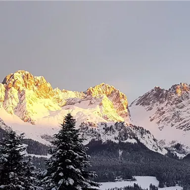 Ein atemberaubendes Bergpanorama bei Sonnenaufgang. Die Gipfel sind von warmem Licht erleuchtet und umgeben von schneebedeckten Bäumen.