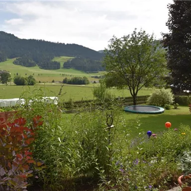 Eine weite Landschaft mit grünen Wiesen und sanften Hügeln. Im Vordergrund sind Pflanzen und ein Trampolin zu sehen.