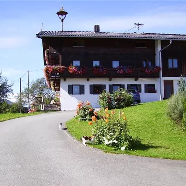 Ein traditionelles Landhaus mit blühenden Blumen und einem geschwungenen Weg. Im Vordergrund sind zwei Katzen zu sehen.
