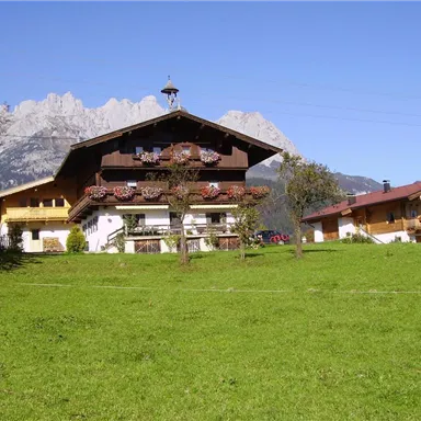 Ein traditionelles alpenländisches Haus mit einem gepflegten Garten und Bergen im Hintergrund. Der Himmel ist klar und die Landschaft ist grün.