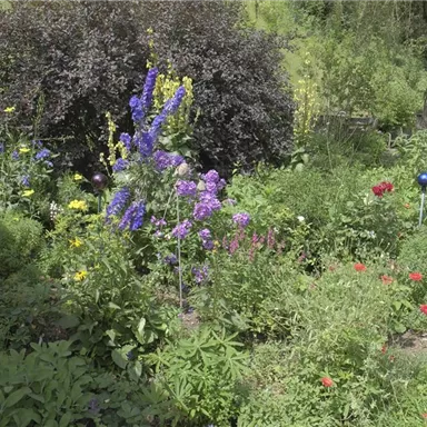 A colorful garden full of flowers in different colors. In the background, lush greenery and decorative accents can be seen.