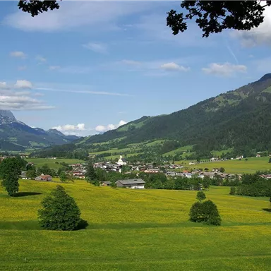 Eine malerische Landschaft mit grünen Wiesen und sanften Hügeln. Im Hintergrund sind Berge und ein kleines Dorf zu sehen.