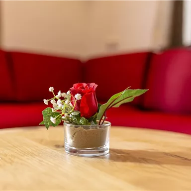 Eine rote Rose in einem kleinen Glasvasen mit grünem Blattwerk und weißen Blumen sitzt auf einem Holztisch. Im Hintergrund ist eine rote Couch sichtbar.