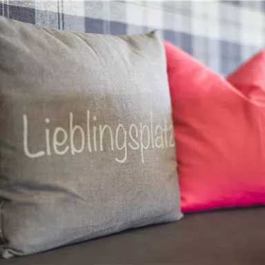 Two decorative cushions on a couch. One is gray with the inscription "Favorite place" and the other is pink.