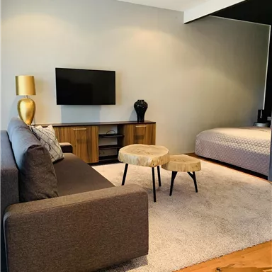 A modern living room with a gray sofa, a television on the wall, and a decorative table. The room is bright and cozy, with carpet flooring and an adjacent sleeping area.