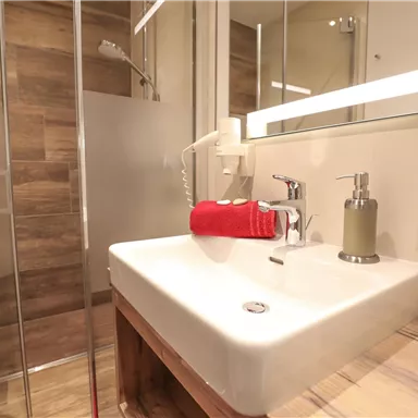 A modern bathroom with a sink and a large mirror. The wooden paneling and the shower give the room a warm atmosphere.