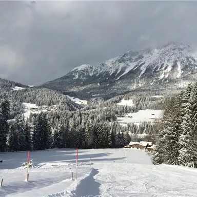 A snow-covered mountain landscape with tall fir trees and majestic mountains in the background. The atmosphere is calm and inviting.