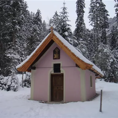 A small pink chapel in a snowy forest landscape. Tall fir trees surround the building.
