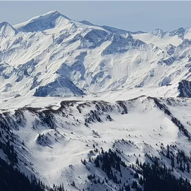 An impressive snow landscape with tall mountains and a clear blue sky. The peaks are covered with snow, while the forests at the foot of the mountains are visible.