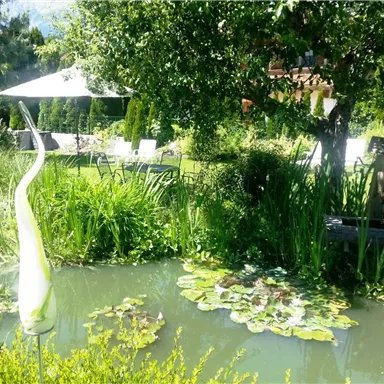 A peaceful garden with a pond, surrounded by lush greenery and water lilies. In the background, there is a sun umbrella with deck chairs.