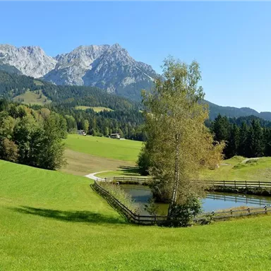 Eine malerische Landschaft mit grünen Wiesen und einem kleinen Teich. Im Hintergrund erheben sich majestätische Berge unter einem klaren blauen Himmel.