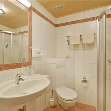 A modern bathroom with a shower cabin, a toilet, and a sink. The walls are tiled and there is a large mirror surface.