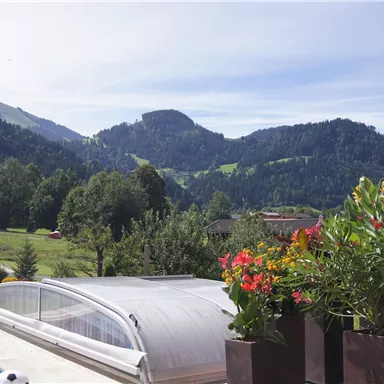 A beautiful view of mountains and green meadows. In the foreground are blooming plants and a pool with a cover.