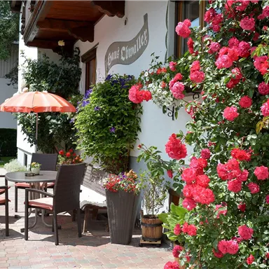 Eine gemütliche Terrasse mit einem Tisch und Stühlen, umgeben von blühenden roten Rosen. Im Hintergrund steht ein Sonnenschirm und ein grüner Garten.