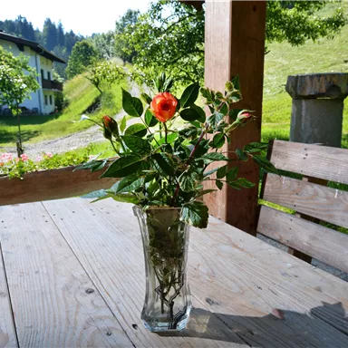 Ein Blumenstrauß in einer Vase steht auf einem Holztisch. Im Hintergrund sind grüne Wiesen und Bäume zu sehen.