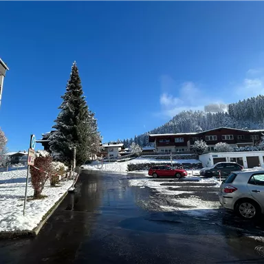 A snowy landscape with a large fir tree and clear blue sky. In the background, several wooden houses and parked cars can be seen.