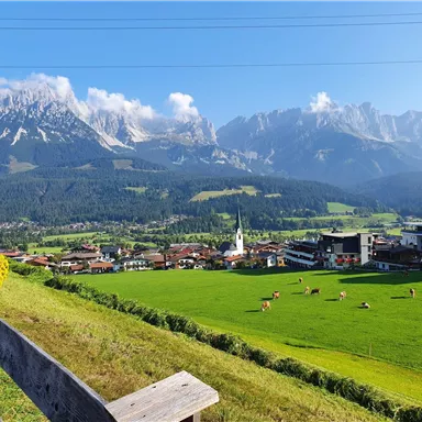 A picturesque landscape with majestic mountains in the background. In the foreground, a green meadow and cows can be seen, as well as a charming village with a church.
