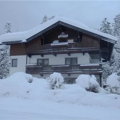 A cozy house in the snow, surrounded by wintry trees. The entire area is decorated with a snow-covered landscape.