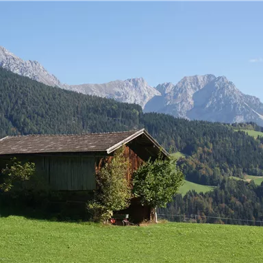 Eine malerische Hütte steht in einer grünen Wiese, umgeben von Bergen. Der Himmel ist klar und blau.