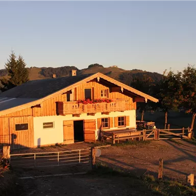 Ein rustikales Holzhaus in den Bergen mit einer schönen Aussicht. Die Abendsonne beleuchtet die Fassade und die umliegende Landschaft.