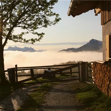 Eine malerische Landschaft mit einem Bauernhof, umgeben von Nebel und Bergen. Die Sonne scheint durch einen Baum und beleuchtet den Weg.