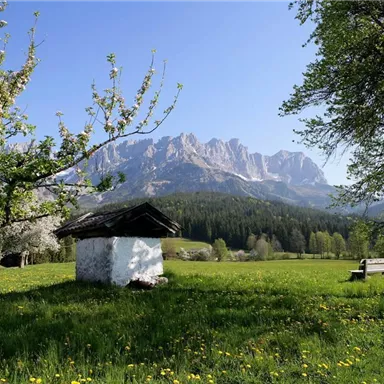 A tranquil landscape with a small wooden house, surrounded by blooming trees and meadows. In the background, impressive mountains and a clear sky can be seen.