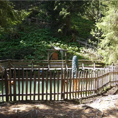 A small pond, surrounded by a wooden fence and trees. In the background, green plants can be seen.