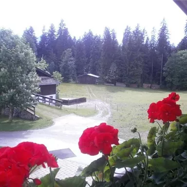 Ein malerischer Ausblick auf eine ländliche Umgebung mit roten Blumen im Vordergrund. Im Hintergrund erkennt man Bäume und eine Weide mit einem kleinen Holzgebäude.