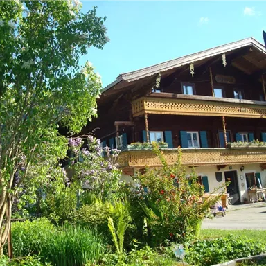 A charming wooden house with verandas and blue shutters. The garden is lush and blooming with various plants.