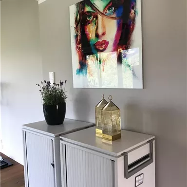 A decorative room with a modern portrait on the wall. On a white sideboard, there is a plant and a golden lantern.