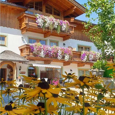 Ein charmantes Gebäude mit Holzverkleidung und bunten Blumenkästen. Im Vordergrund blühen leuchtend gelbe Blumen.