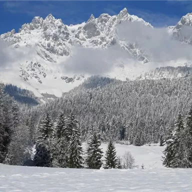 Eine beeindruckende Winterlandschaft mit schneebedeckten Bergen und tiefgrünen Tannenbäumen. Der klare Himmel verleiht der Szene eine friedliche Atmosphäre.