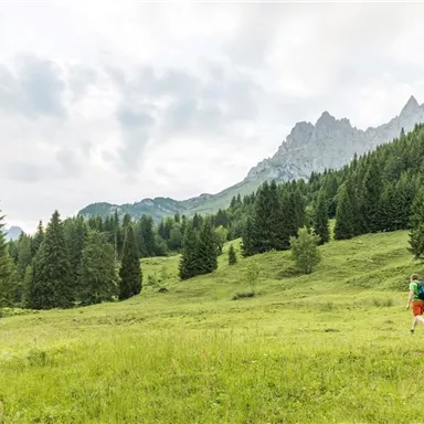 Two hikers are walking through a green meadow, surrounded by mountains and dense forests. The sky is overcast, creating a calm atmosphere.