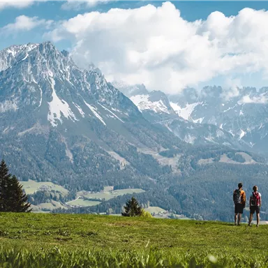 Two people are standing on a green meadow and looking at an impressive mountain landscape with snow-covered peaks. The sky is blue with white clouds.