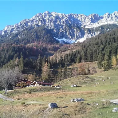Eine malerische Landschaft mit Bergen im Hintergrund und Bäumen. Im Vordergrund steht ein gemütliches Holzhaus auf einer Wiese.