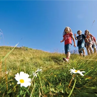 Three children are running happily across a green meadow. The sun is shining, and in the foreground, white daisies are blooming.