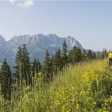 Zwei Wanderer gehen einen Pfad entlang, umgeben von bunten Blumen und hohen Gräsern. Im Hintergrund sind majestätische Berge unter einem klaren Himmel zu sehen.