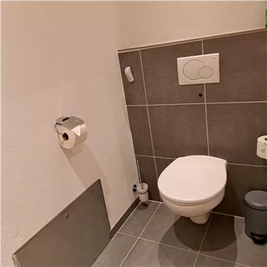 Ein modernes Badezimmer mit einer Toilette und einem Papierspender. Die Wände sind hell und die Fliesen sind dunkelgrau.