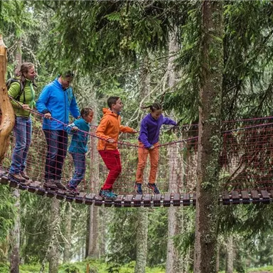 A group of children and adults crosses a swinging bridge in the forest. Surrounded by tall trees, they experience an adventure in nature.