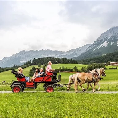 A team of horses pulls a cart with four people through a picturesque landscape. In the background, mountains and green meadows can be seen.