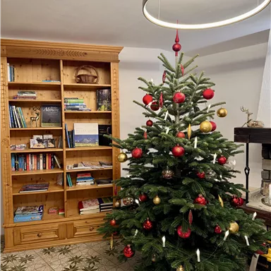 A festively decorated Christmas tree stands in a cozy room. In the background, you can see a bookshelf.