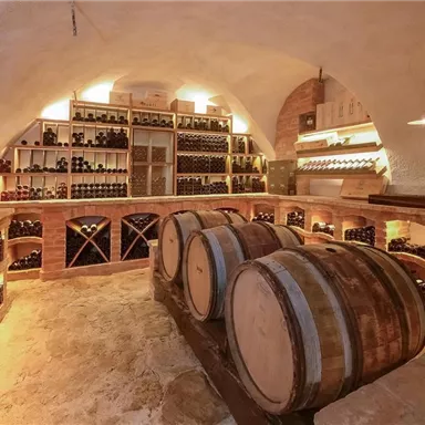 Ein gemütlicher Weinkeller mit Holzfässern und Regalen voller Weinflaschen. Der Raum hat gewölbte Decken und sanfte Beleuchtung.